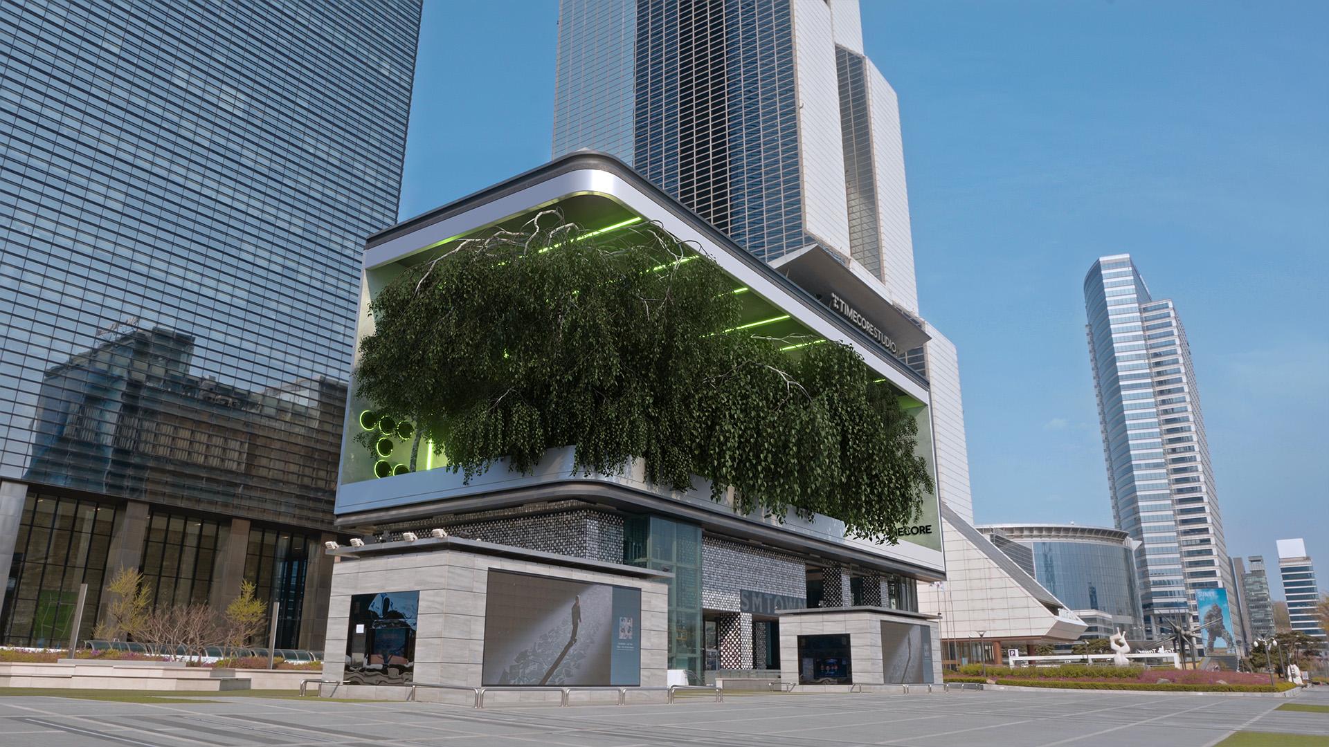 3d anamorphic trees